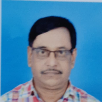 Ananda Saha
